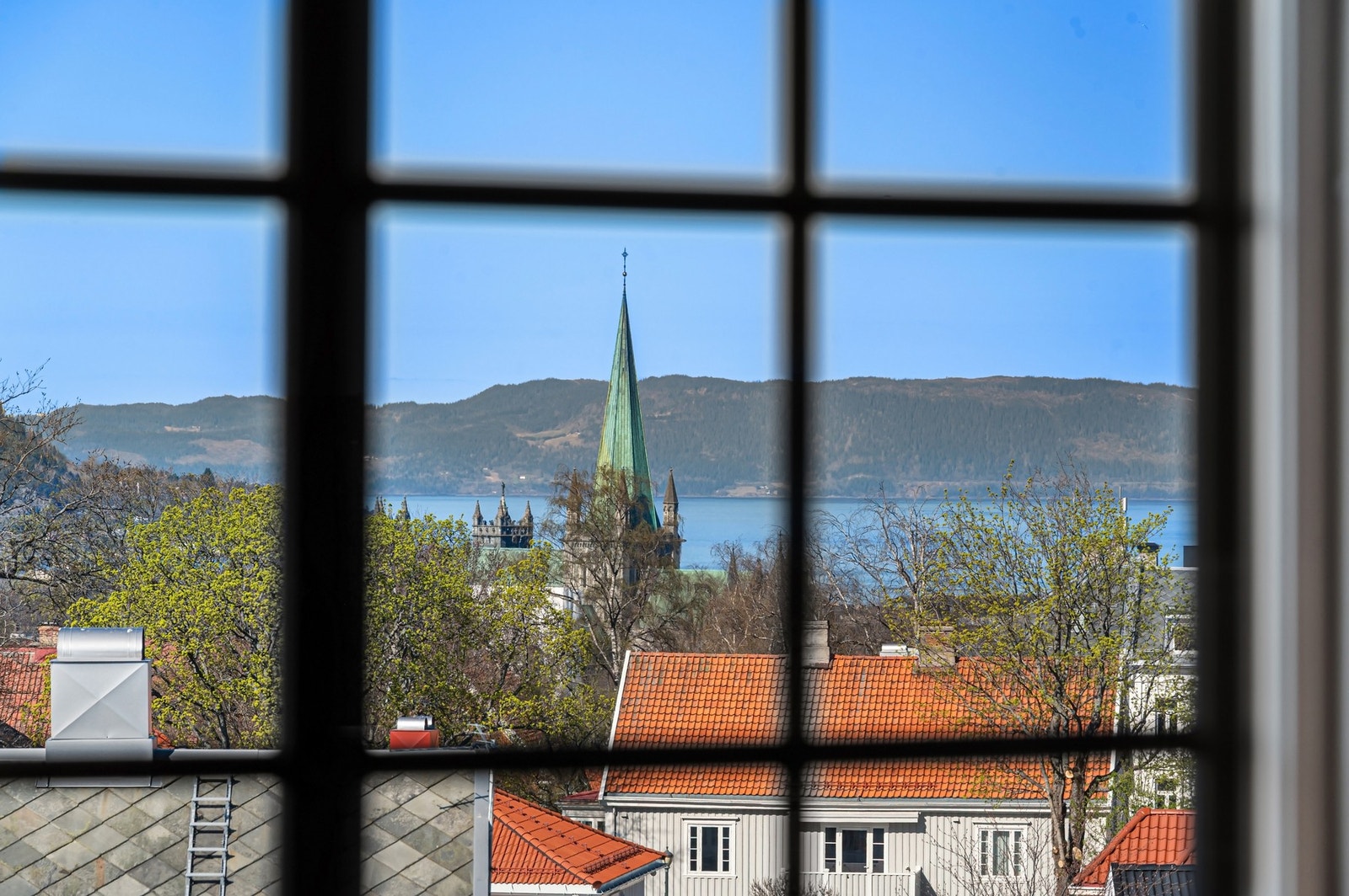 Utsikt mot Nidarosdomen, med Trondheimsfjorden som bakteppe. Galleribilde