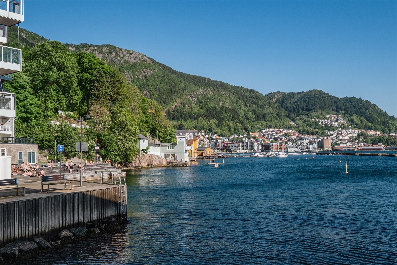 Ekte sommeridyll rett ved sjøkanten! Galleribilde