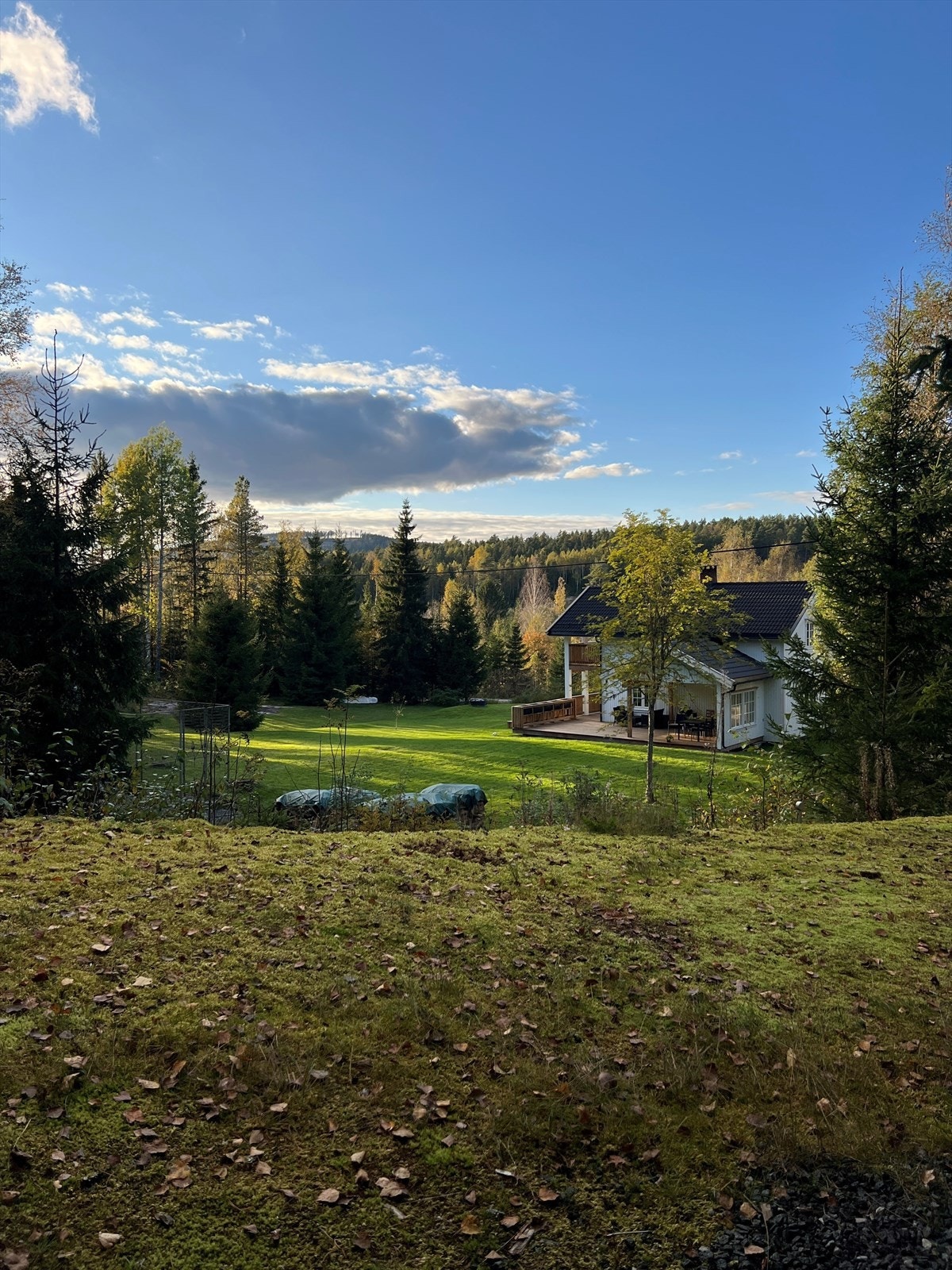 Selgers eget bilde - høst. Galleribilde