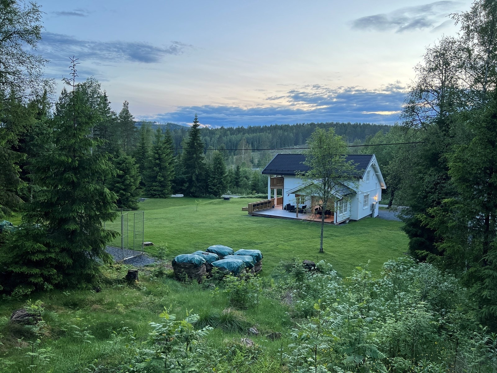 Selgers eget sommerbilde. Galleribilde