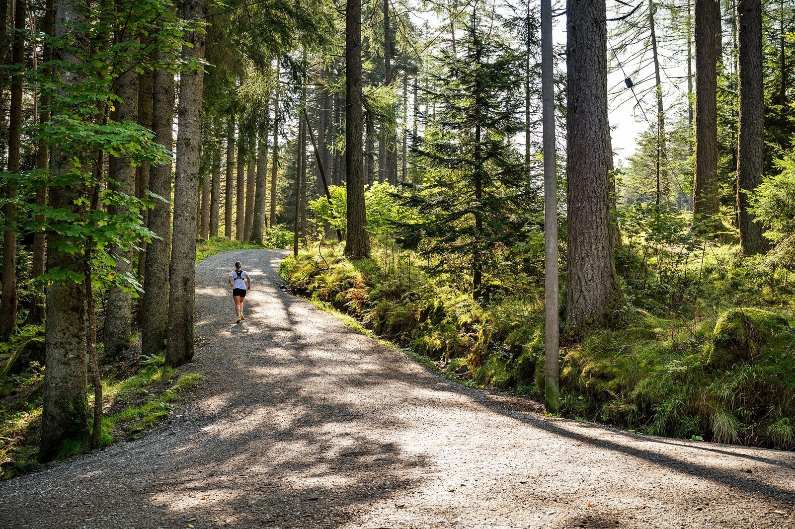 - Like bak boligen er det sti som fører opp mot Gullstølen og Gullsteinen, og videre mot Løvstakken - Galleribilde