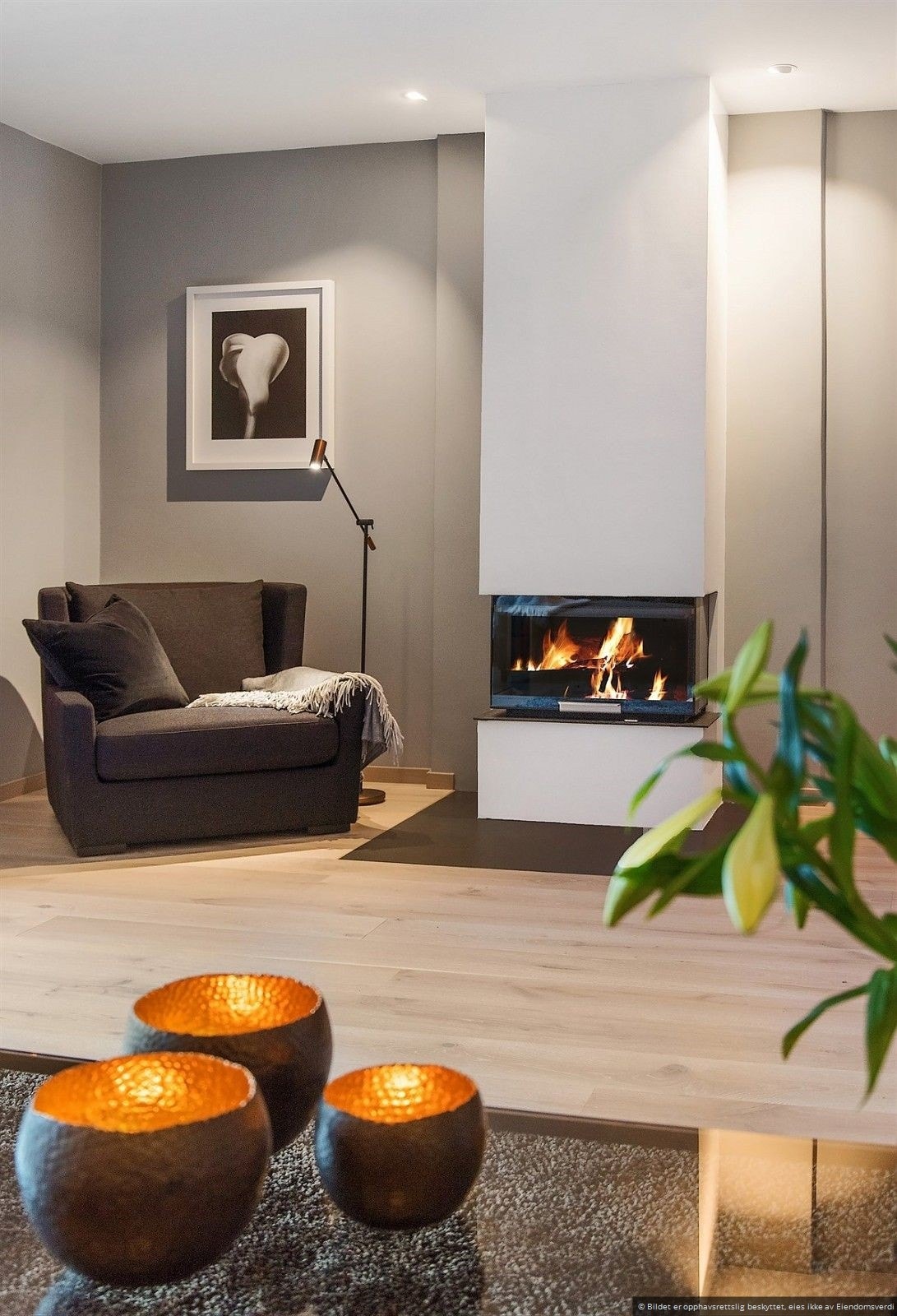 Vedfyrt peis i stuen Galleribilde