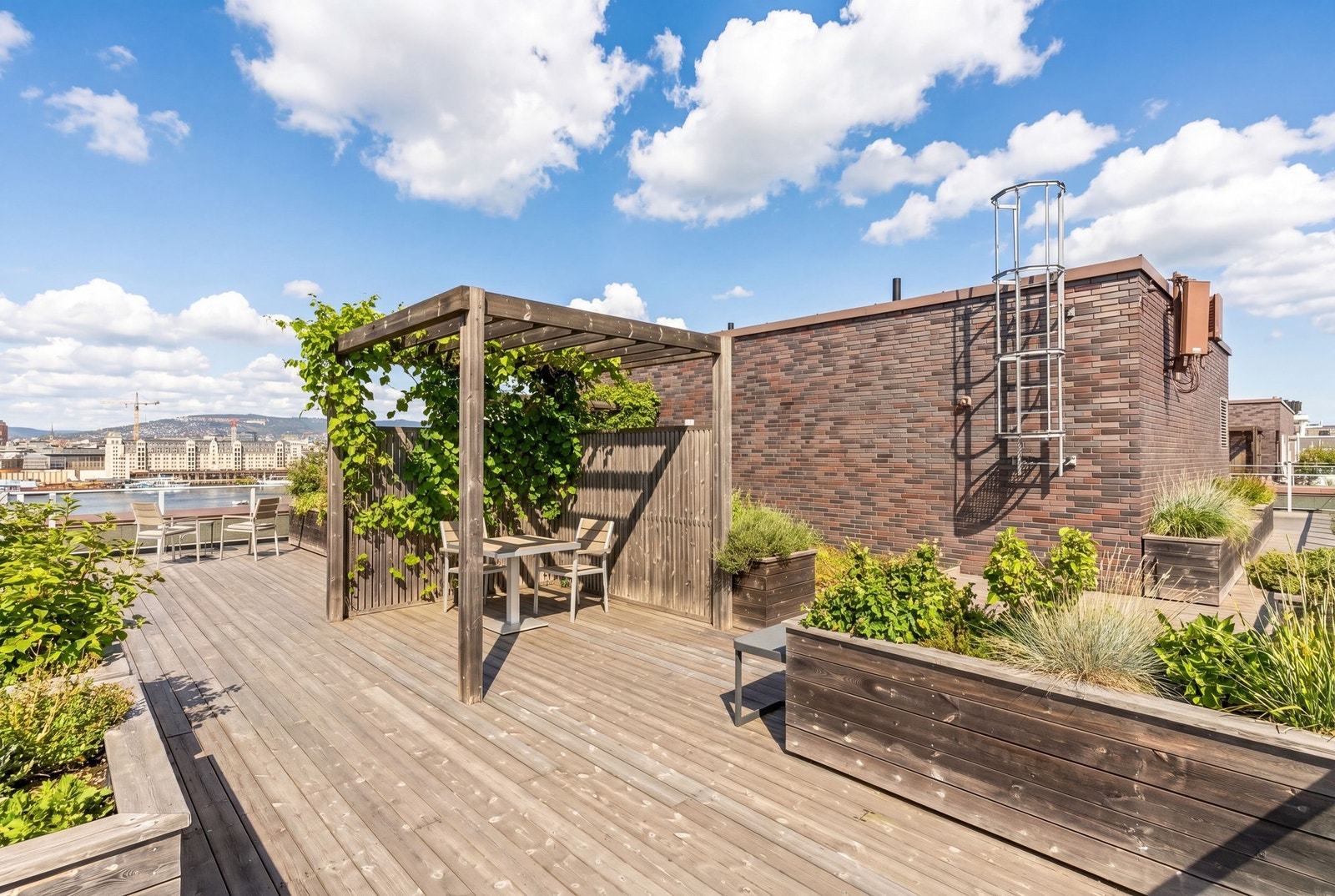 Felles takterrasse med fantastiske solforhold (Planter/grønt er digitalt illustrert med AI for å vise sommerforhold). Galleribilde