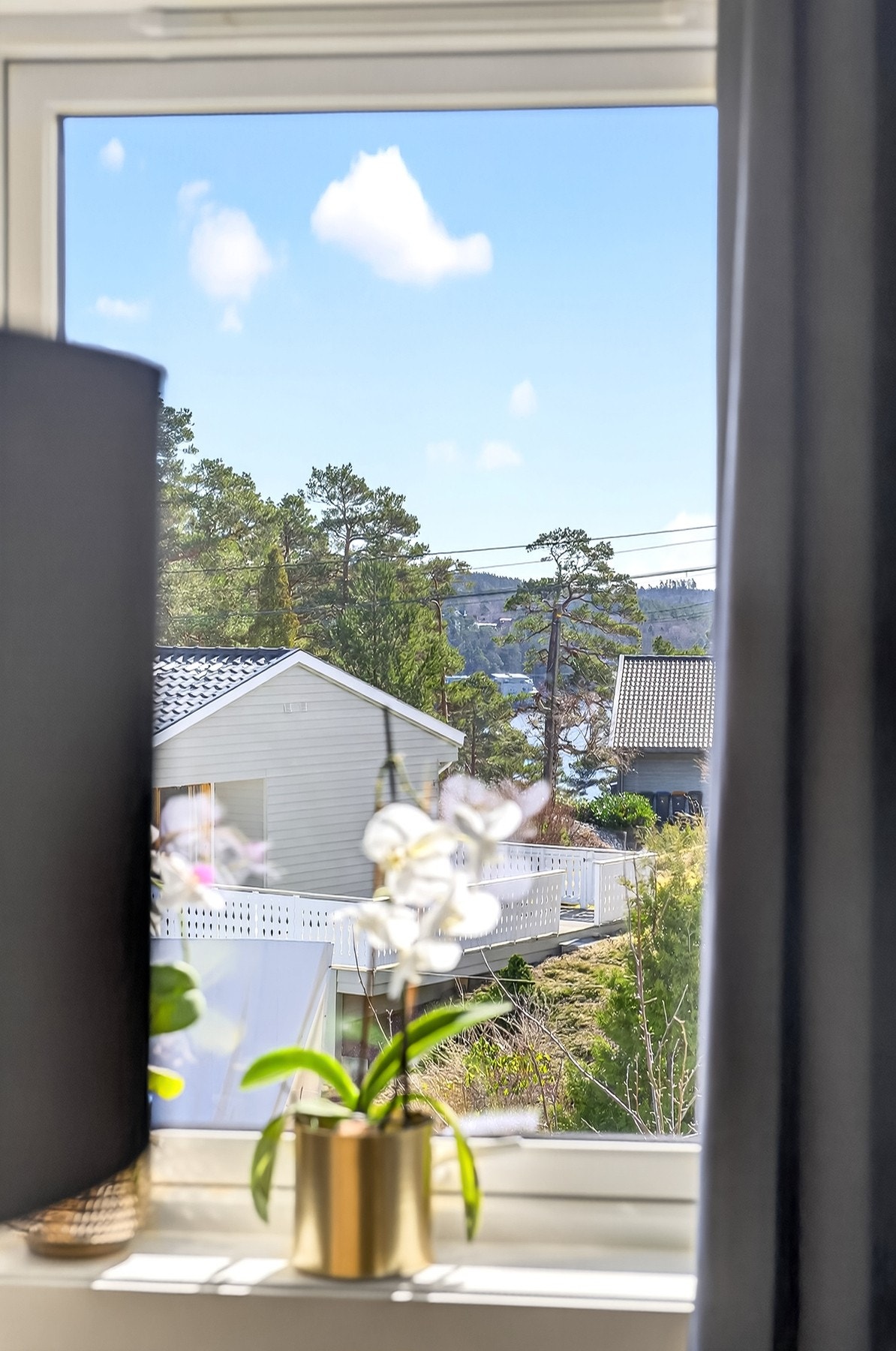 Sjø glimt. Galleribilde