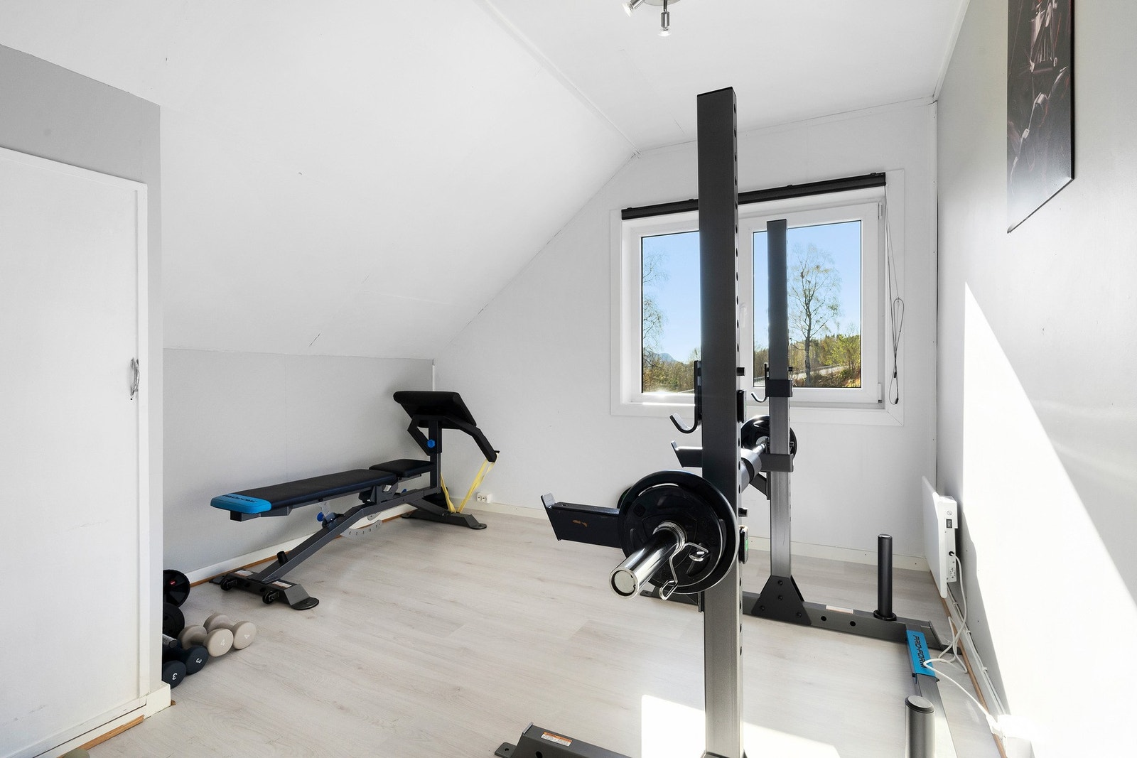 Annet Galleribilde