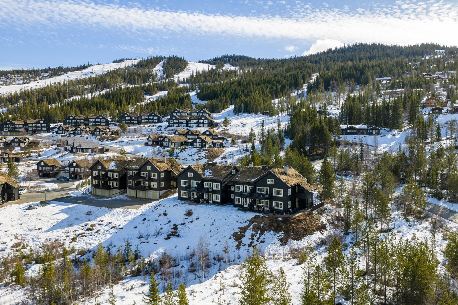 Nesbyen Fjellandsby. Galleribilde