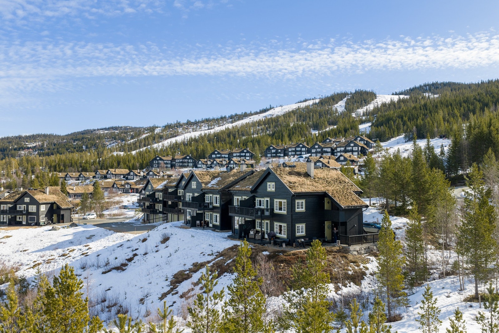 Nesbyen Fjellandsby Galleribilde