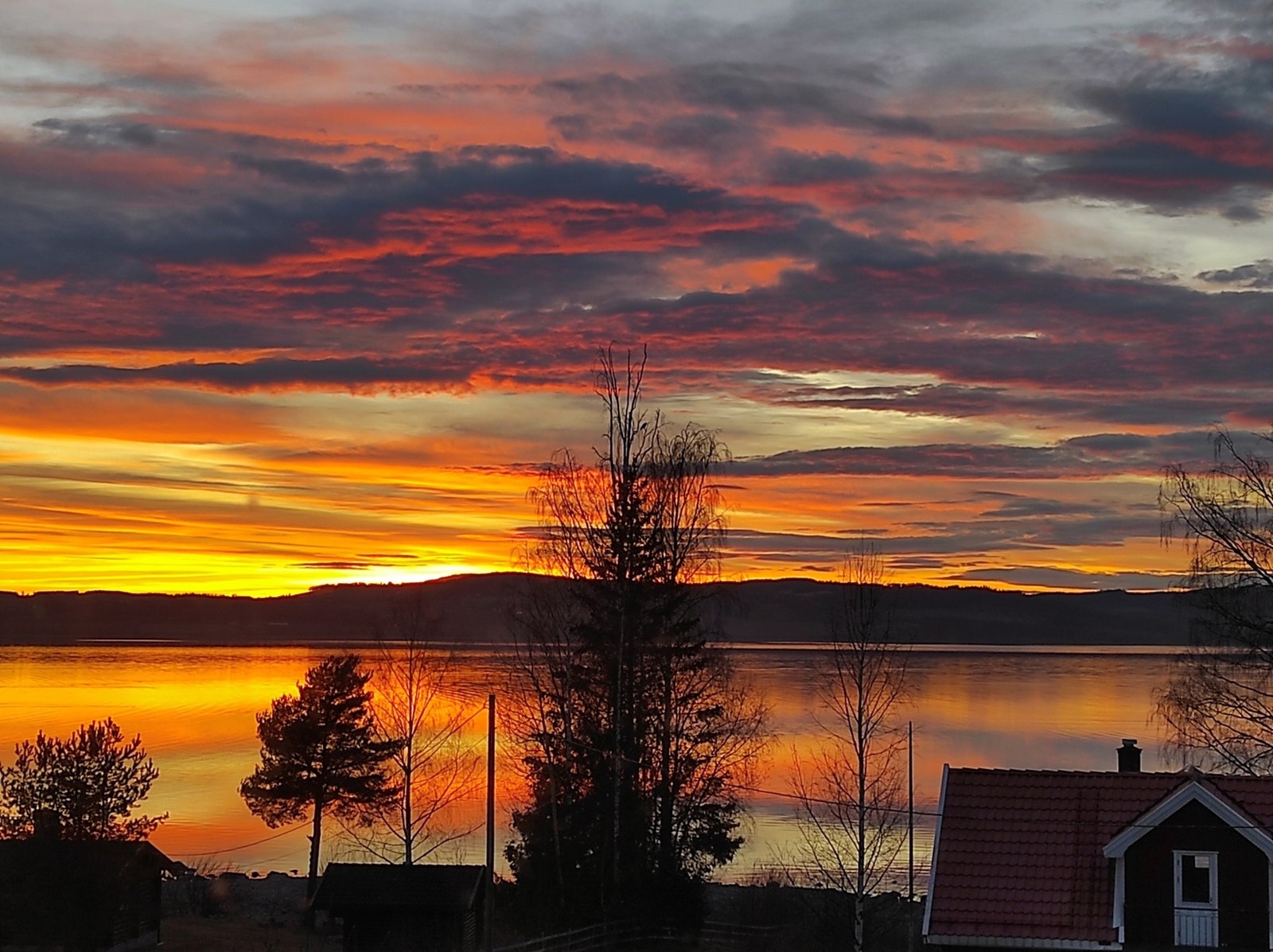 Foto: Selger Galleribilde