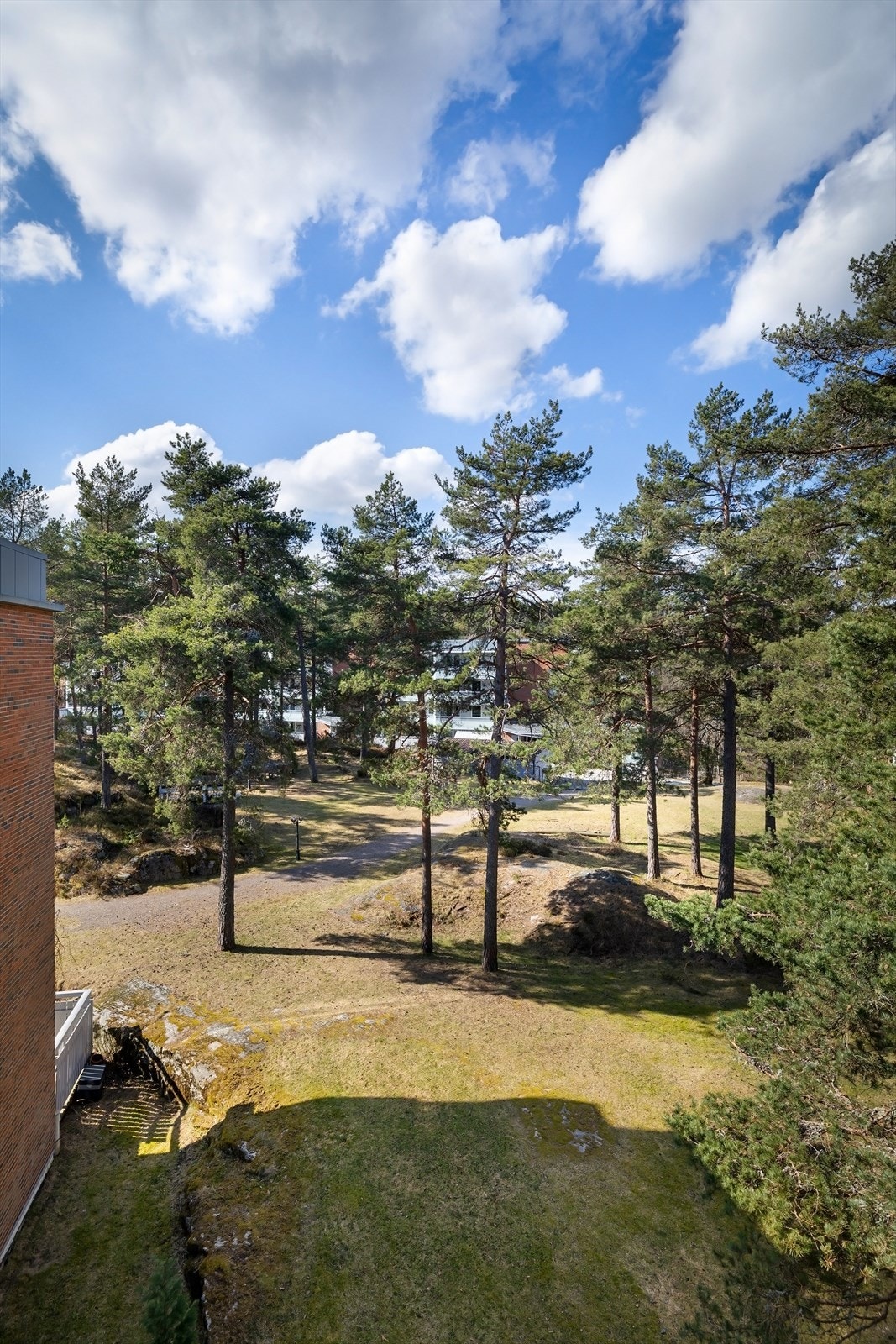 Utsyn mot skog og veldig lite innsyn Galleribilde