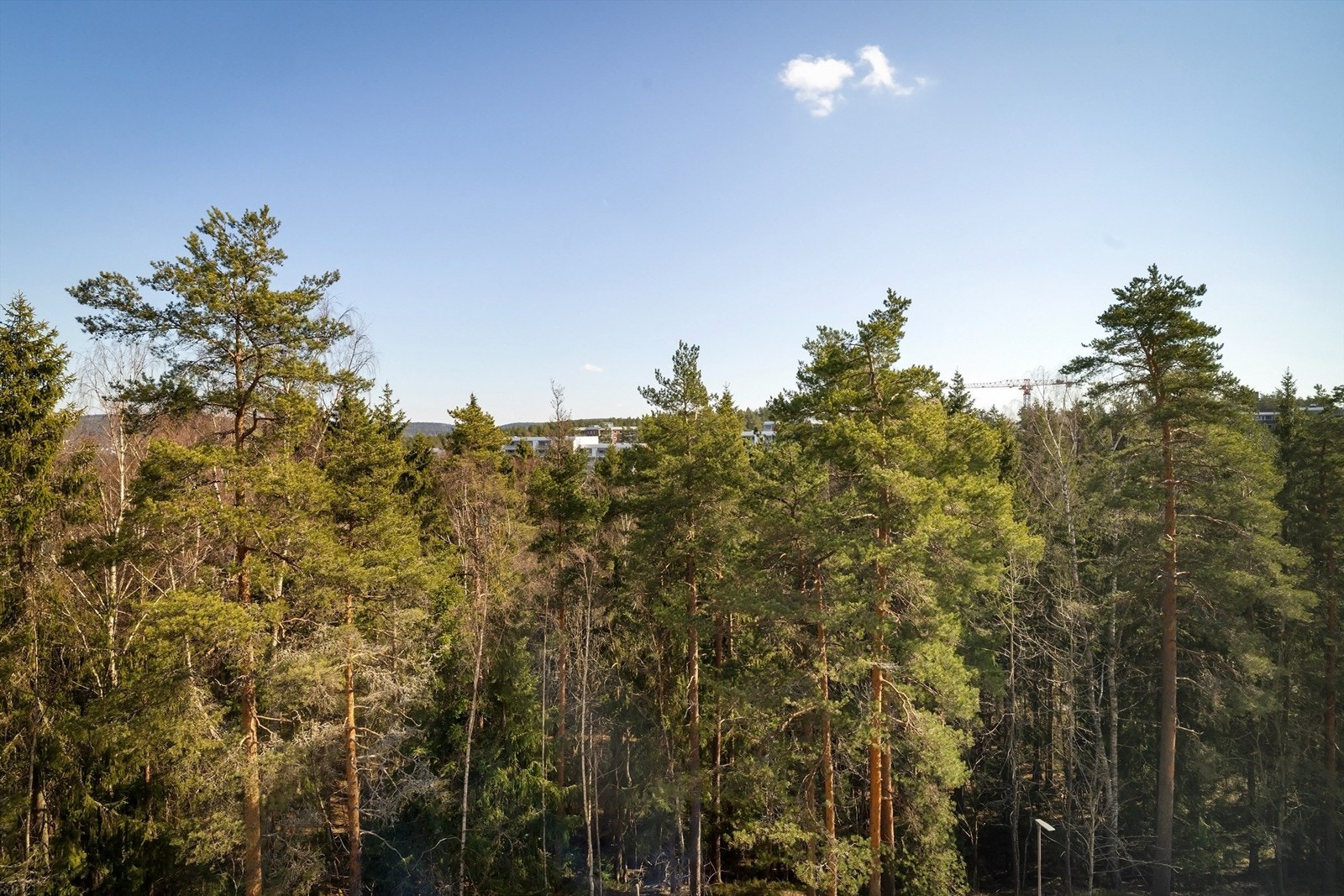 Utsikt Galleribilde