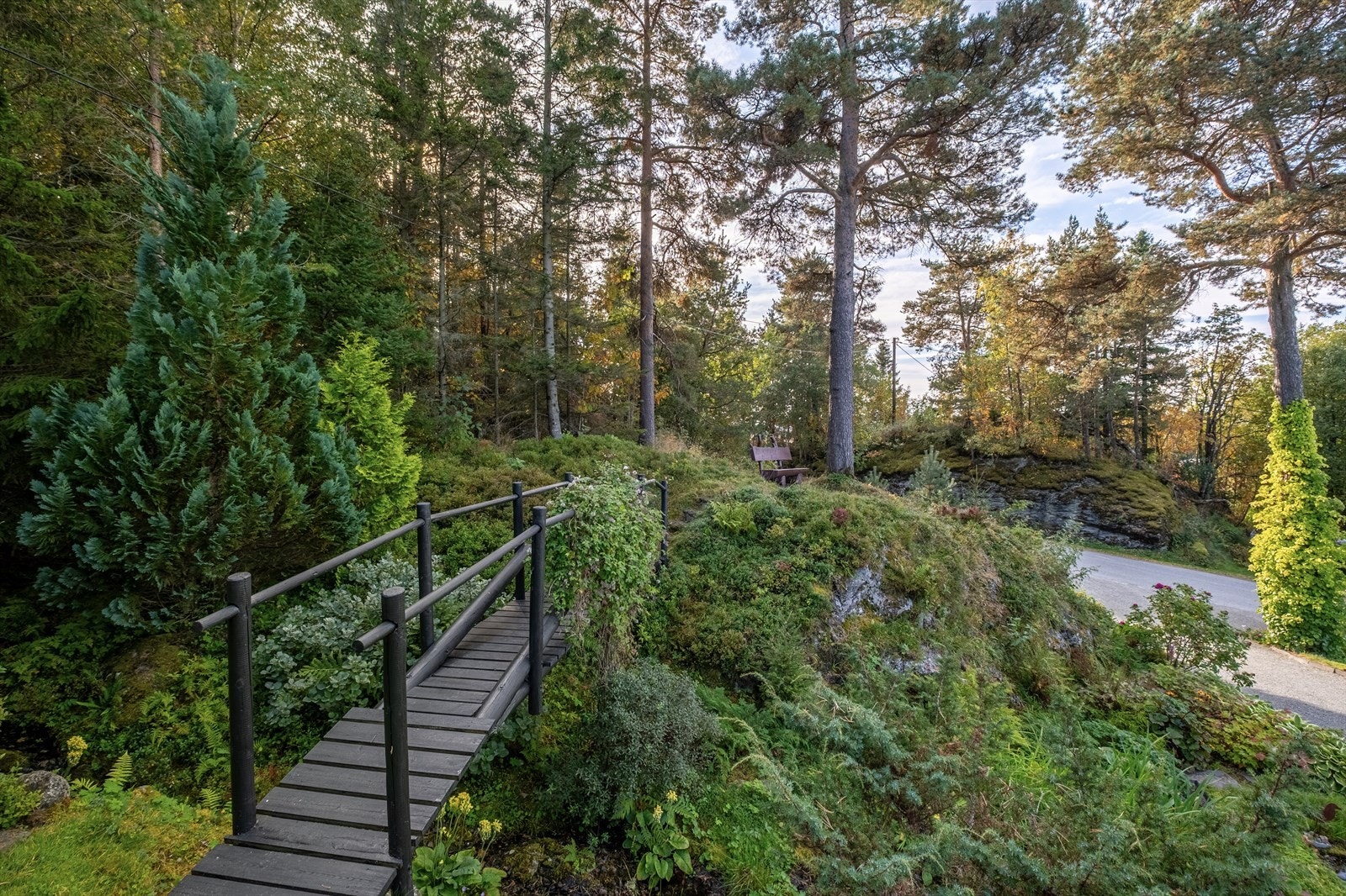 Pent opparbeidet hage med ulike hagevekster Galleribilde