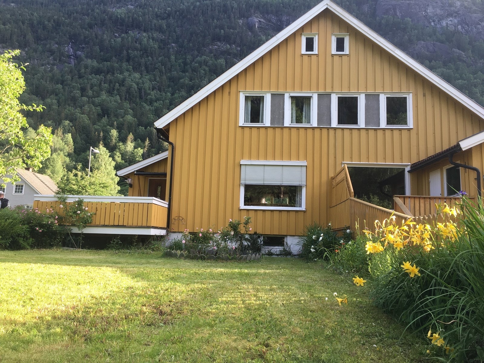 Sommerbilde (privat foto) Galleribilde