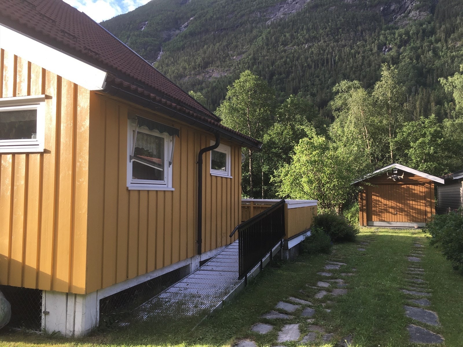 Sommerbilde (privat foto) Galleribilde