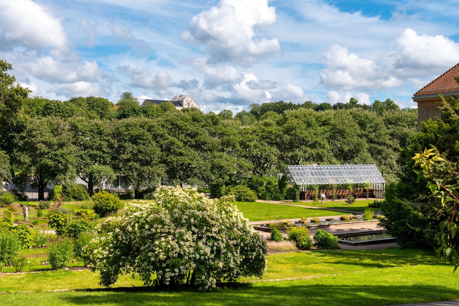 Like ved boligen finner vi vakre og enorme Botanisk hage. Hagen er en fantastisk oase med et rikt planteliv fra hele verden, i tillegg til å være et flott og grønt rekreasjonsområde. Galleribilde