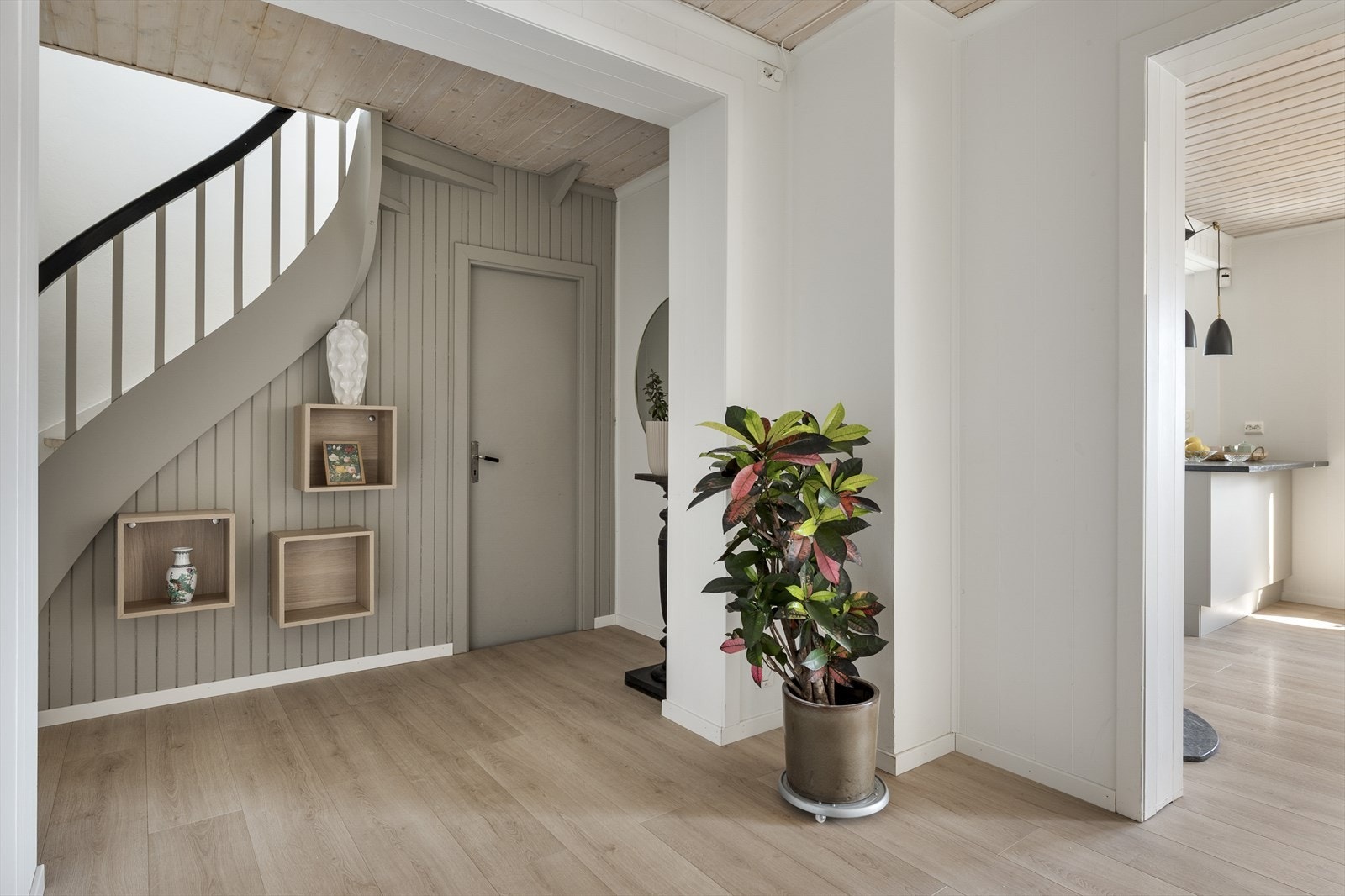 Gang Galleribilde