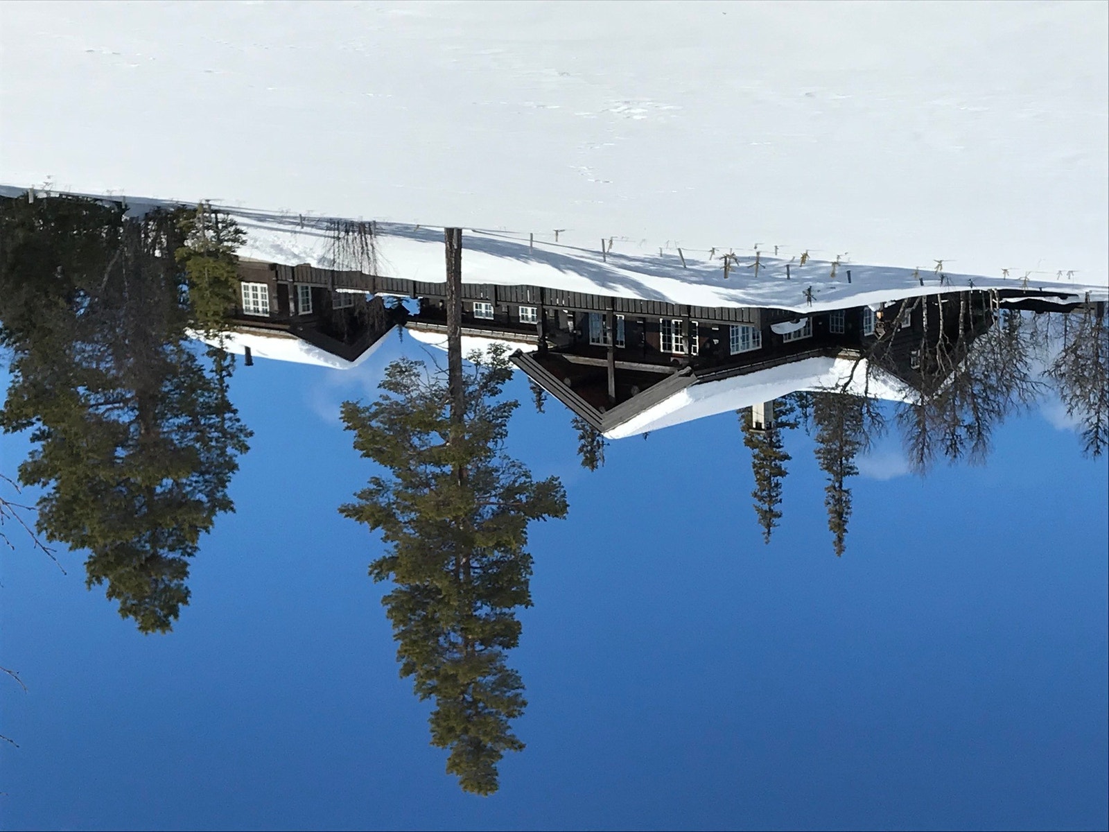 Bilde fra annen årstid Galleribilde