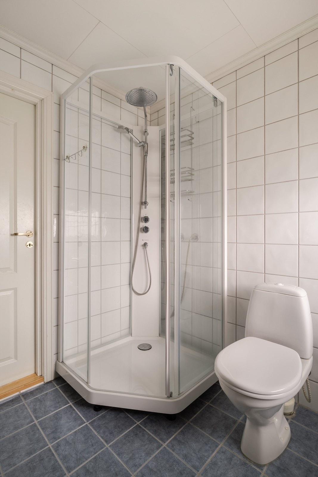 Badet er utstyrt med gulvmontert toalett og dusjkabinett. Galleribilde