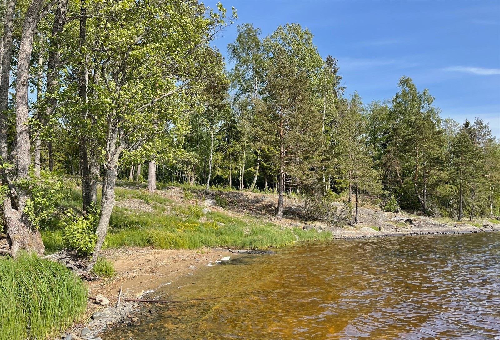 Rett ned for hyttefeltet finner du en liten langgrunn sandstrand med bademuligheter Galleribilde