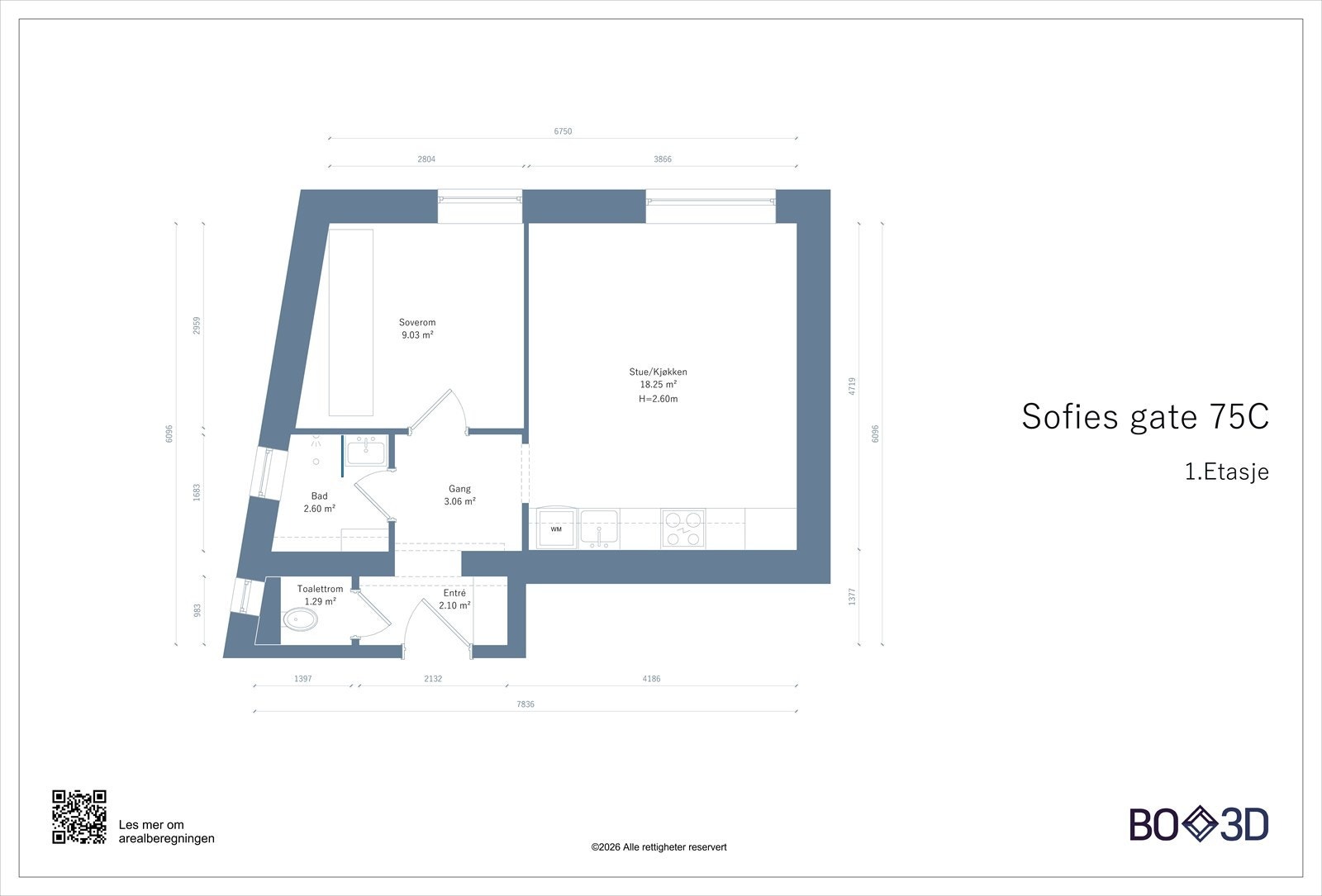 Plantegning. Galleribilde