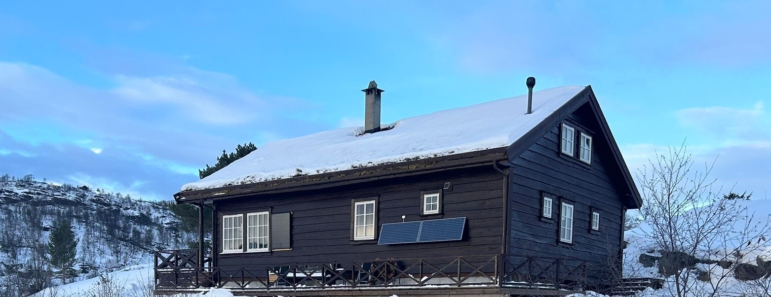 Vinter Galleribilde