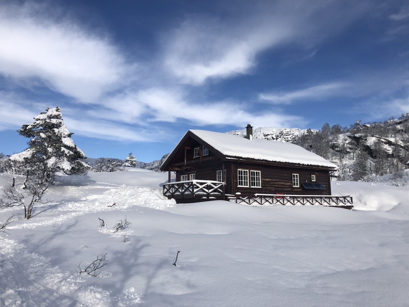 Vinter Galleribilde