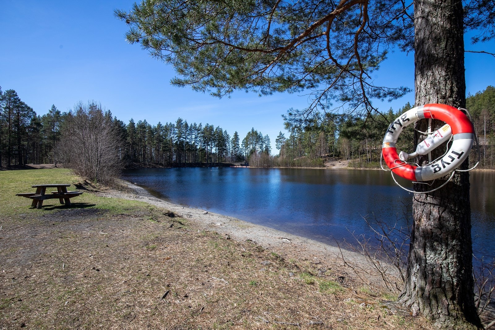 Badeplass Galleribilde