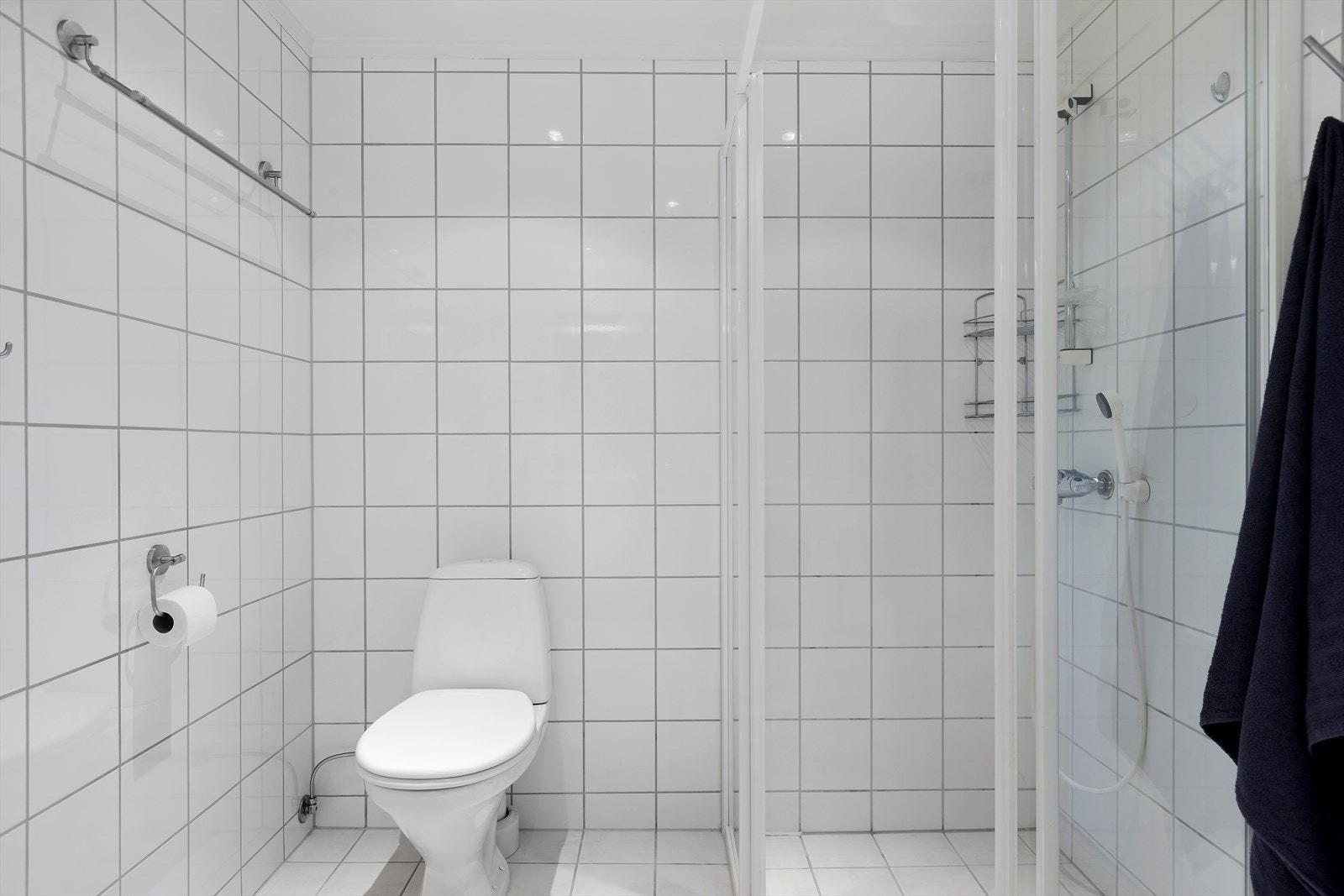 Dusjnisje og toalett. Håndkleholder og toalettrullholder. Galleribilde