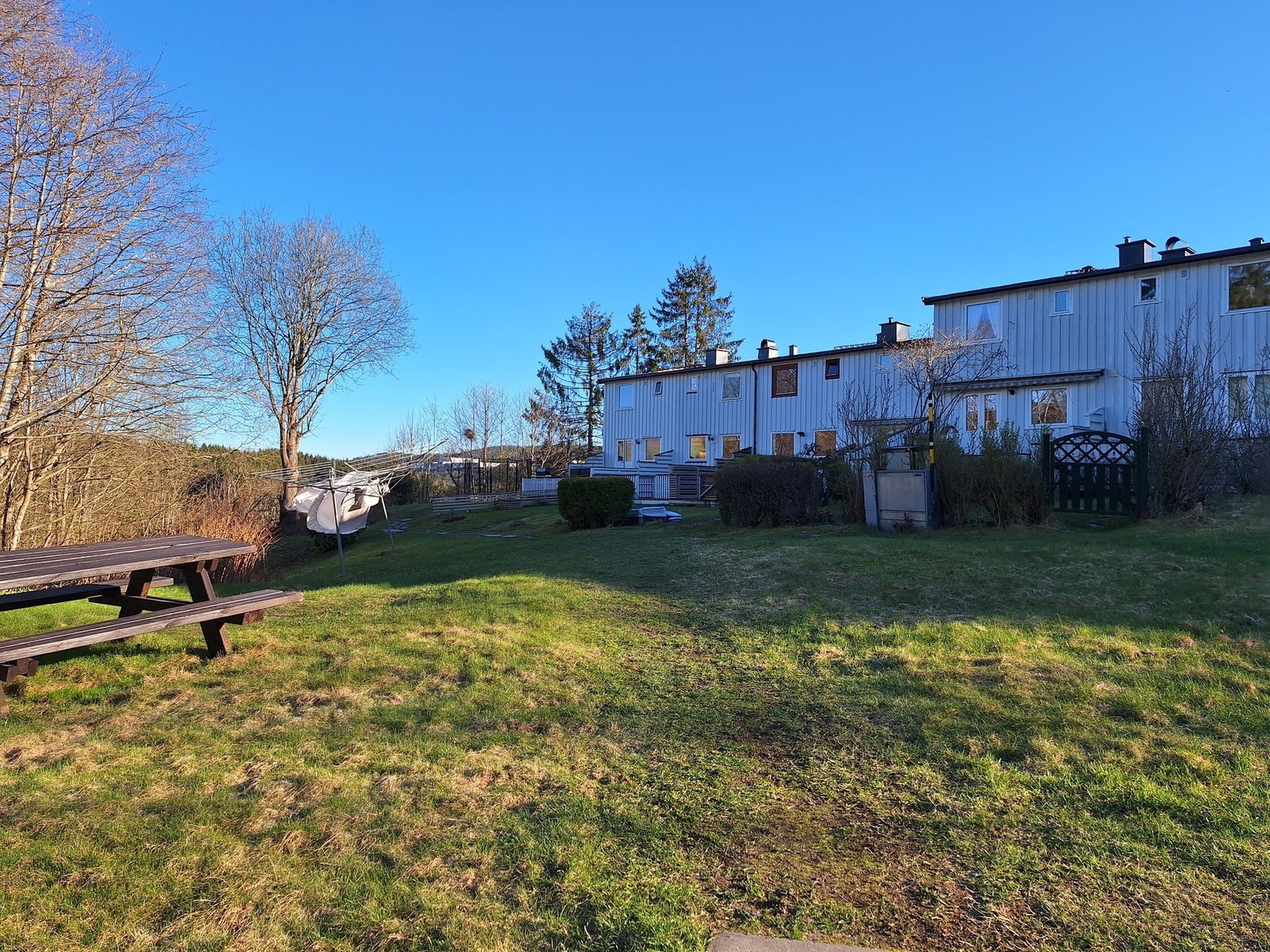 Selgers egne bilde (Vår) Galleribilde