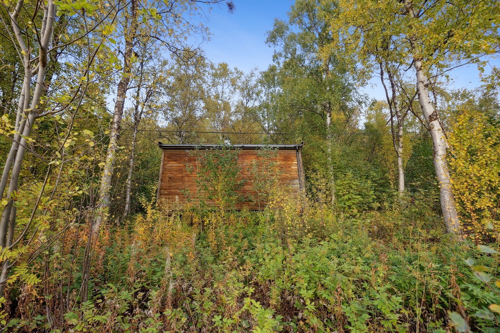 Flere_bilder Galleribilde