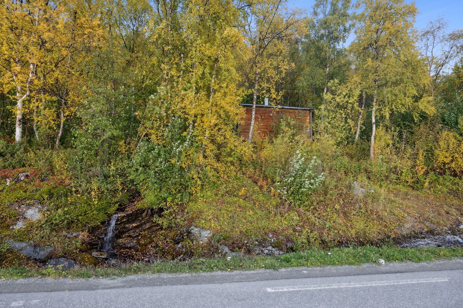 Flere_bilder Galleribilde