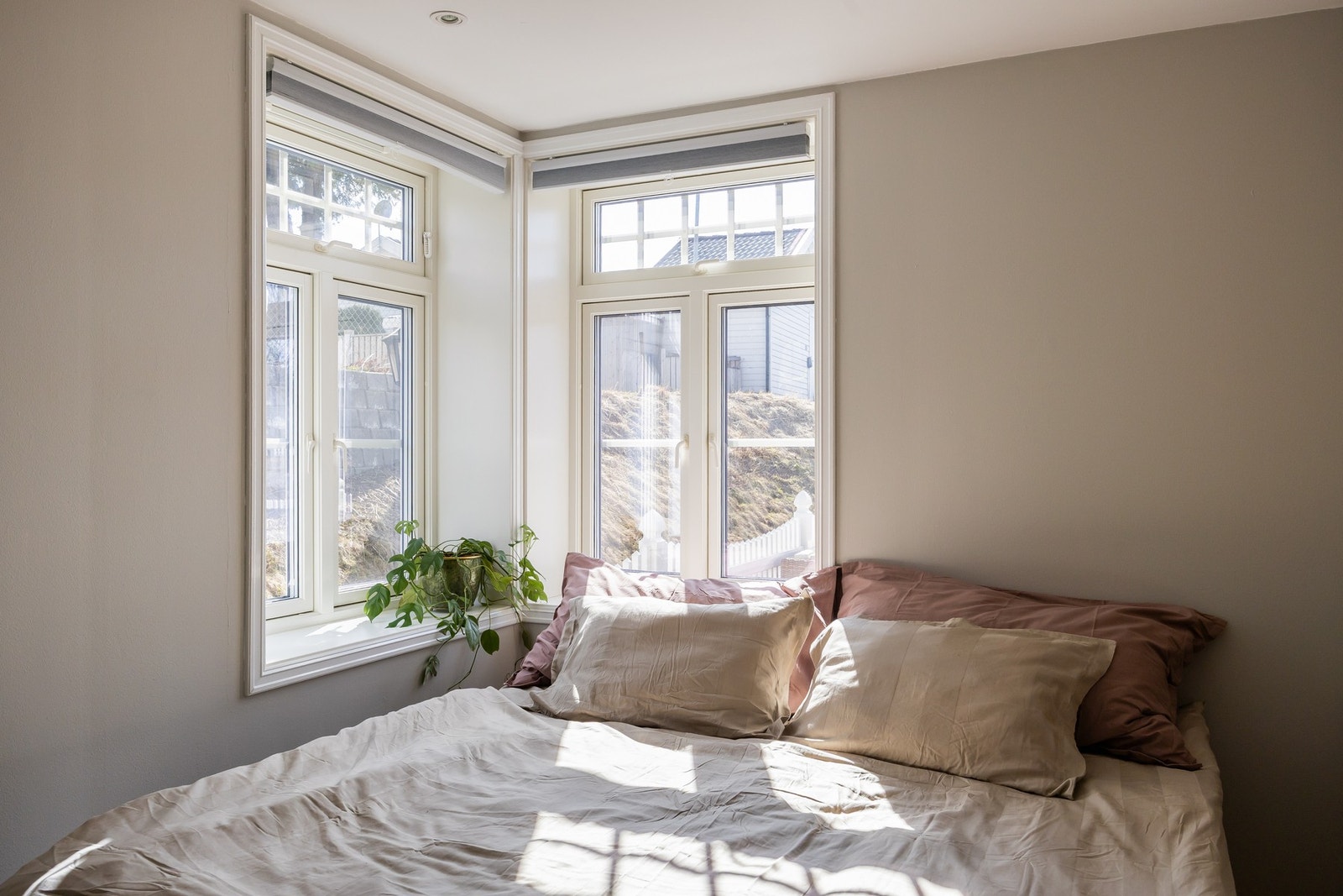 Lite innsyn men fortsatt rikelig med naturlig lys. Galleribilde
