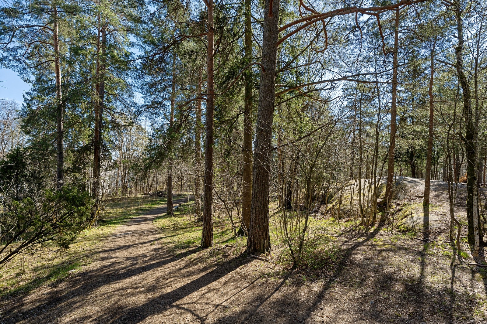 Kort vei til Østmarka med flotte turmuligheter sommer som vinter. Galleribilde