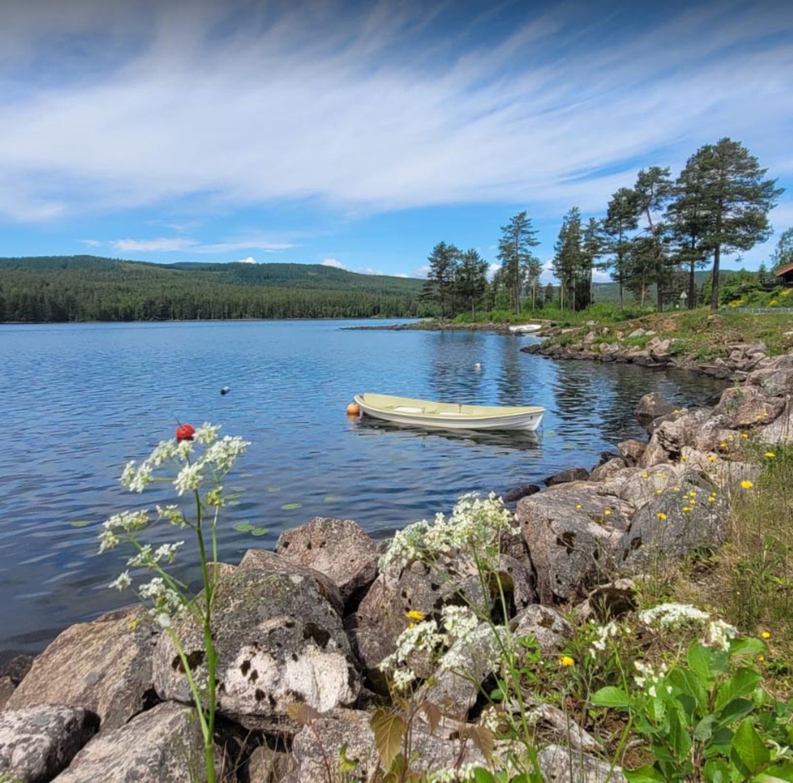 Koselig gangsti langs Harestuvannet. Galleribilde