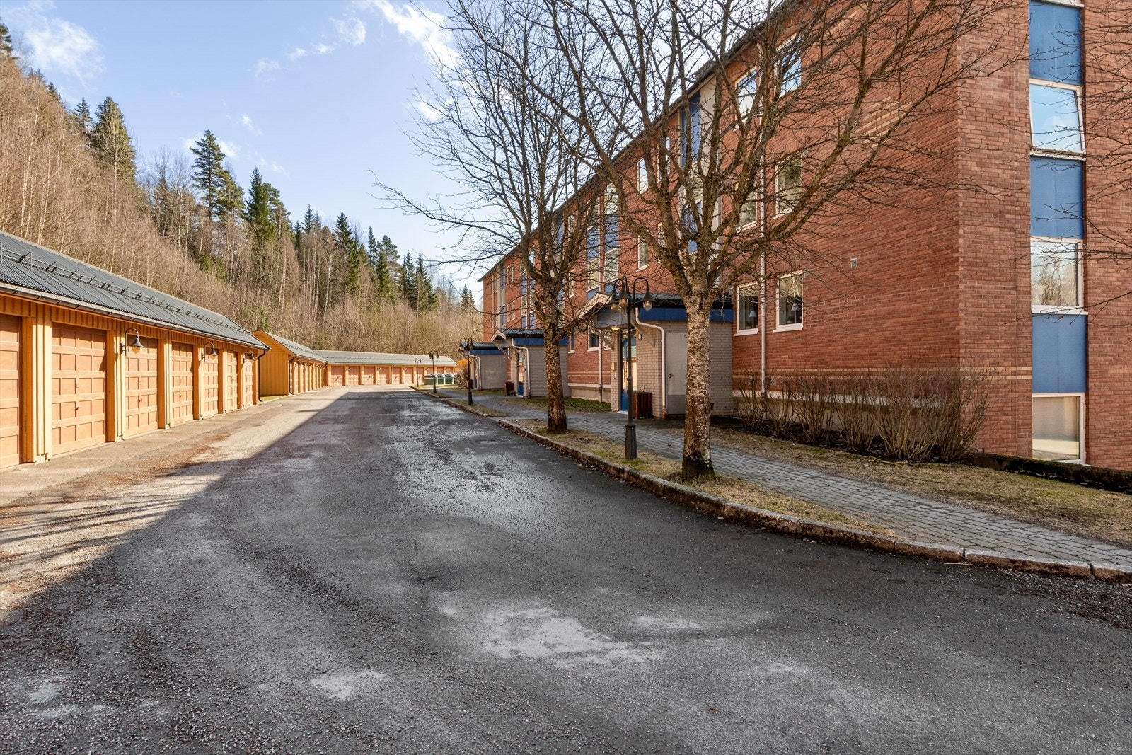 Fra oversiden med skogen som nabo ! Galleribilde