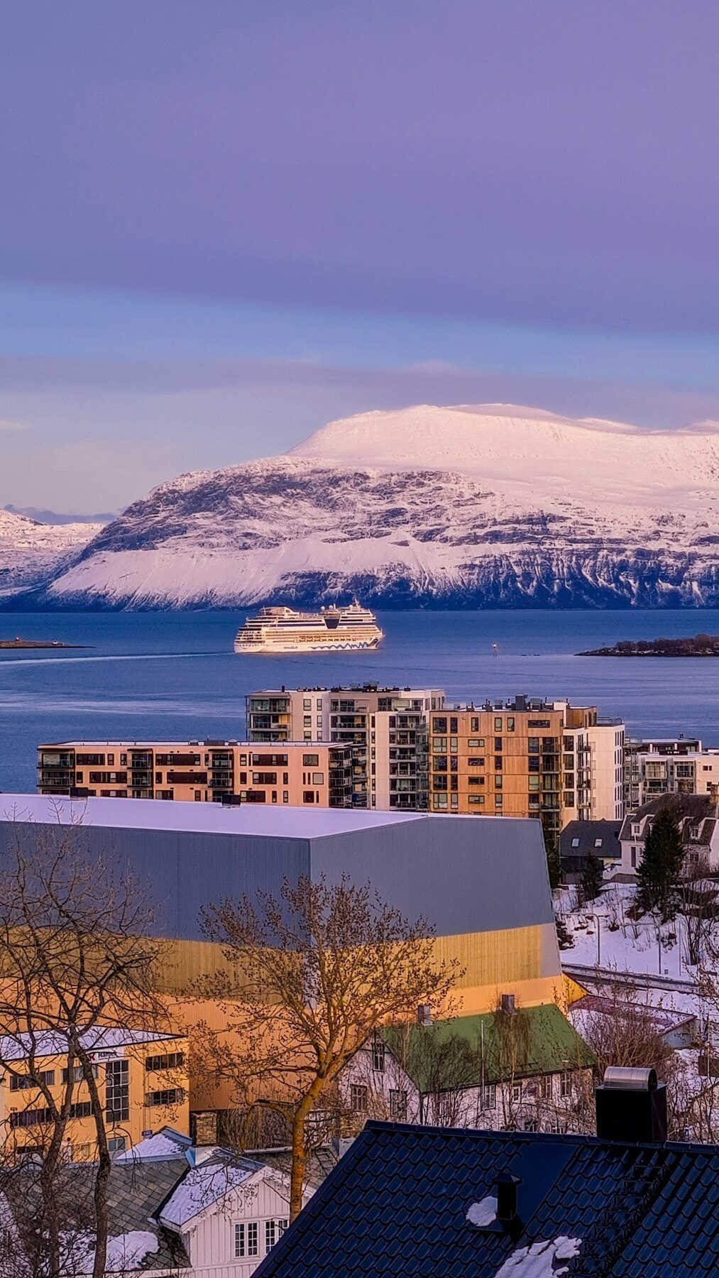 Selgers eget bilde Galleribilde