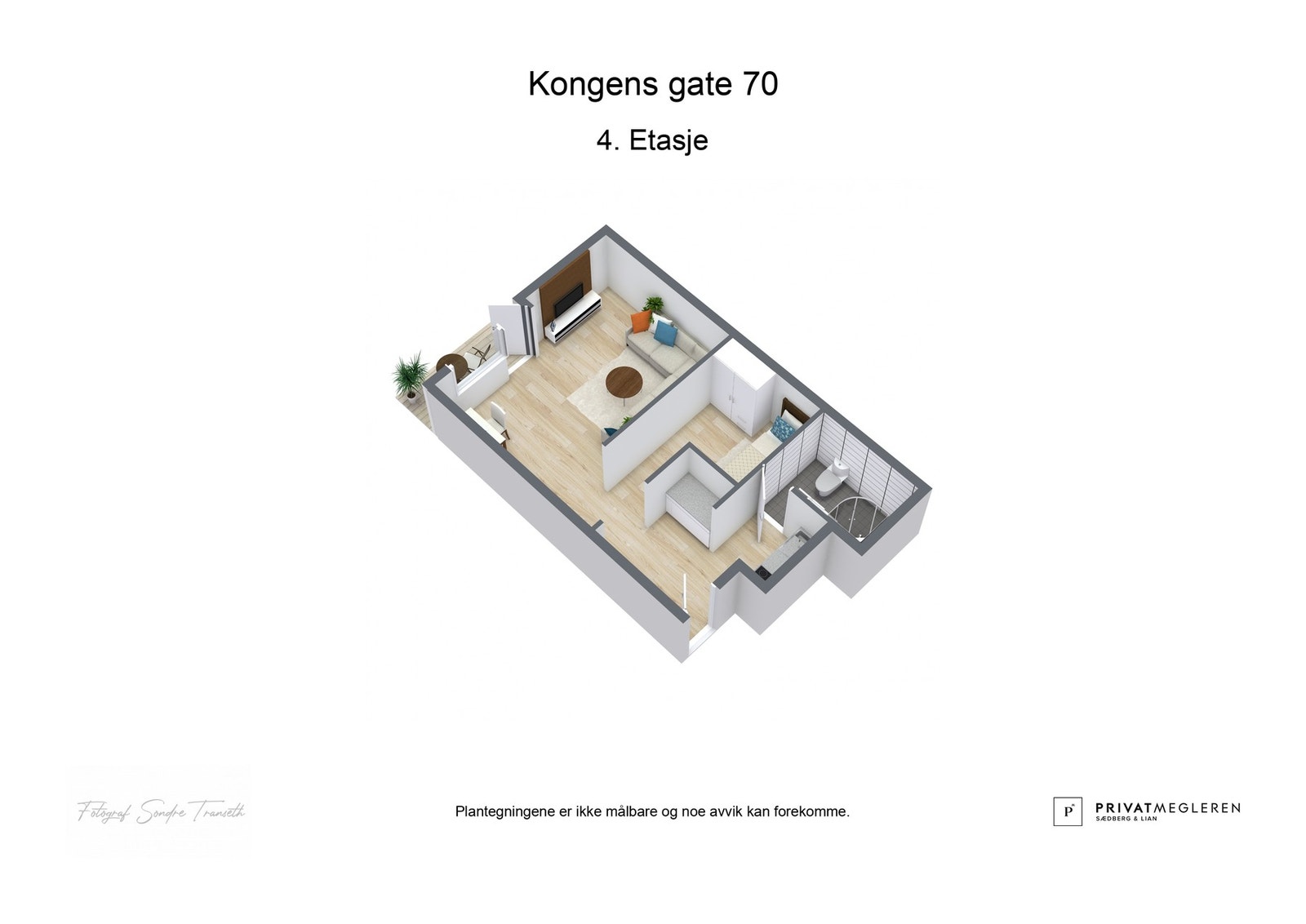 - 3D plantegning (ikke målbart) - Galleribilde