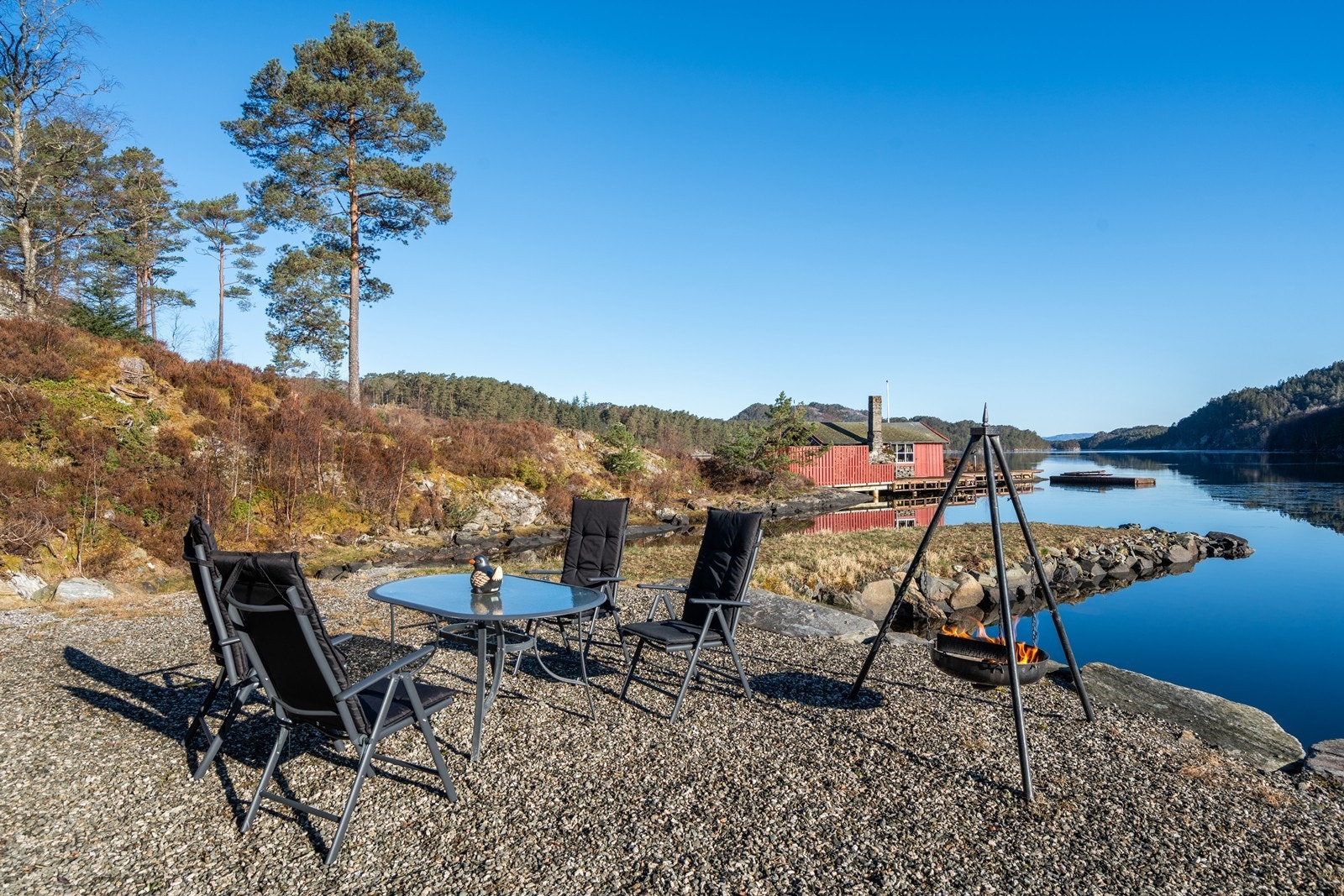 Stor tomt! Galleribilde