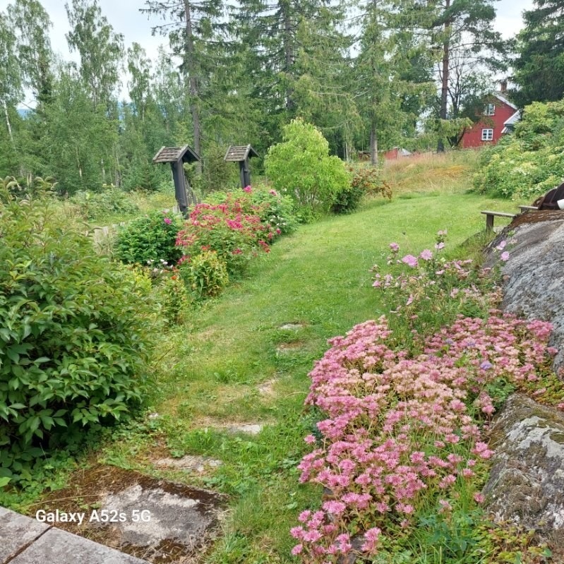 Privat bilde tatt av selger. Galleribilde