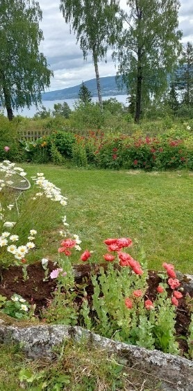 Privat bilde tatt av selger. Galleribilde
