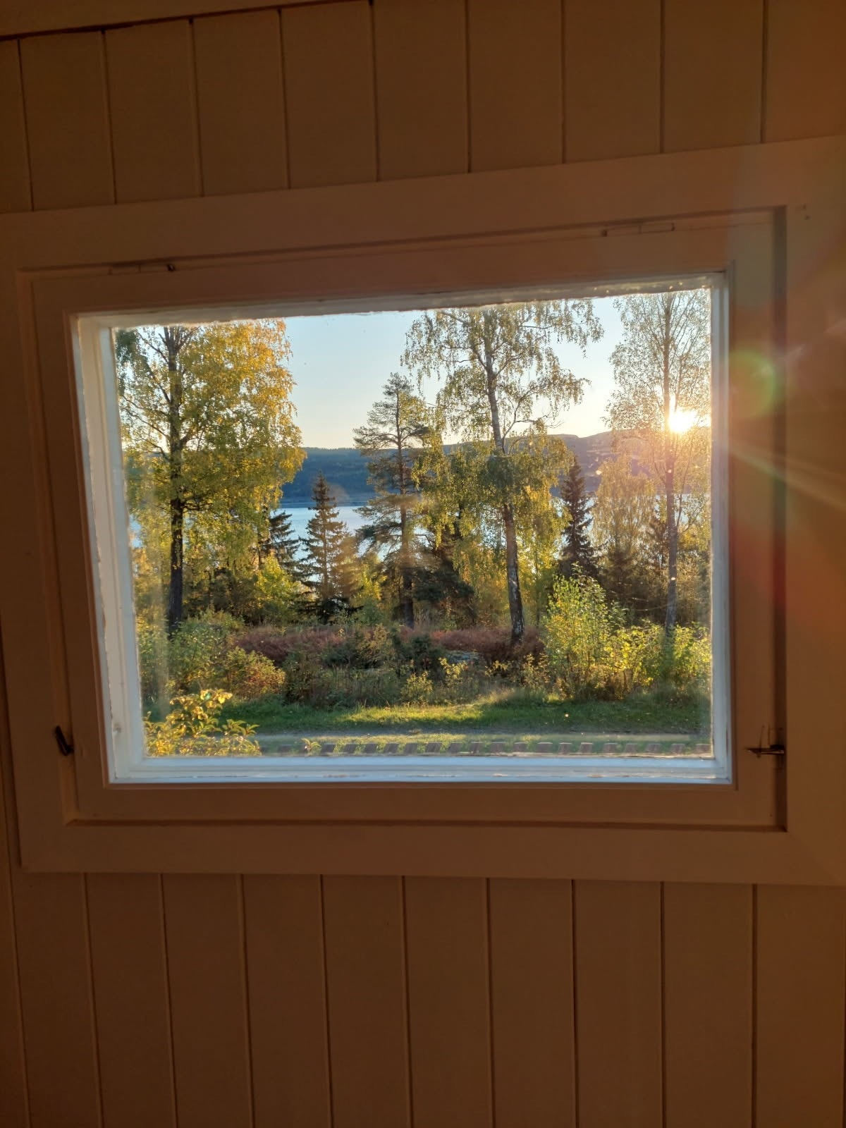 Privat bilde tatt av selger. Galleribilde