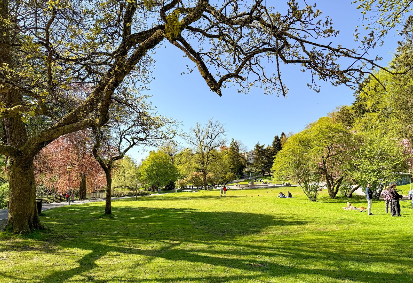 Grønne områder og rekreasjonsområder i Nygårdsparken like over høyden Galleribilde