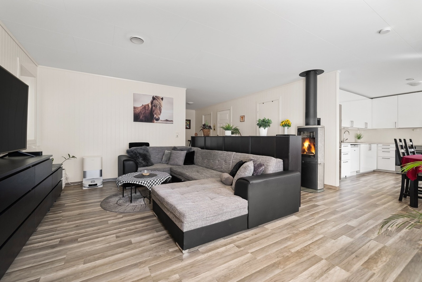 Fine møbleringsmuligheter. Galleribilde