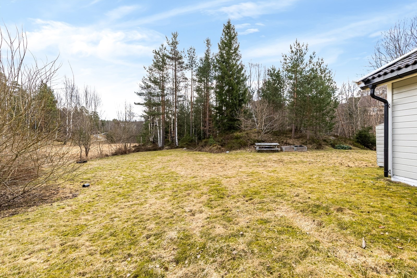 Romslig tomt Galleribilde