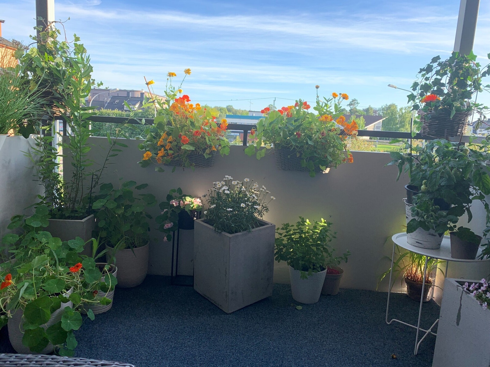 Selgers eget bilde fra balkong. Galleribilde