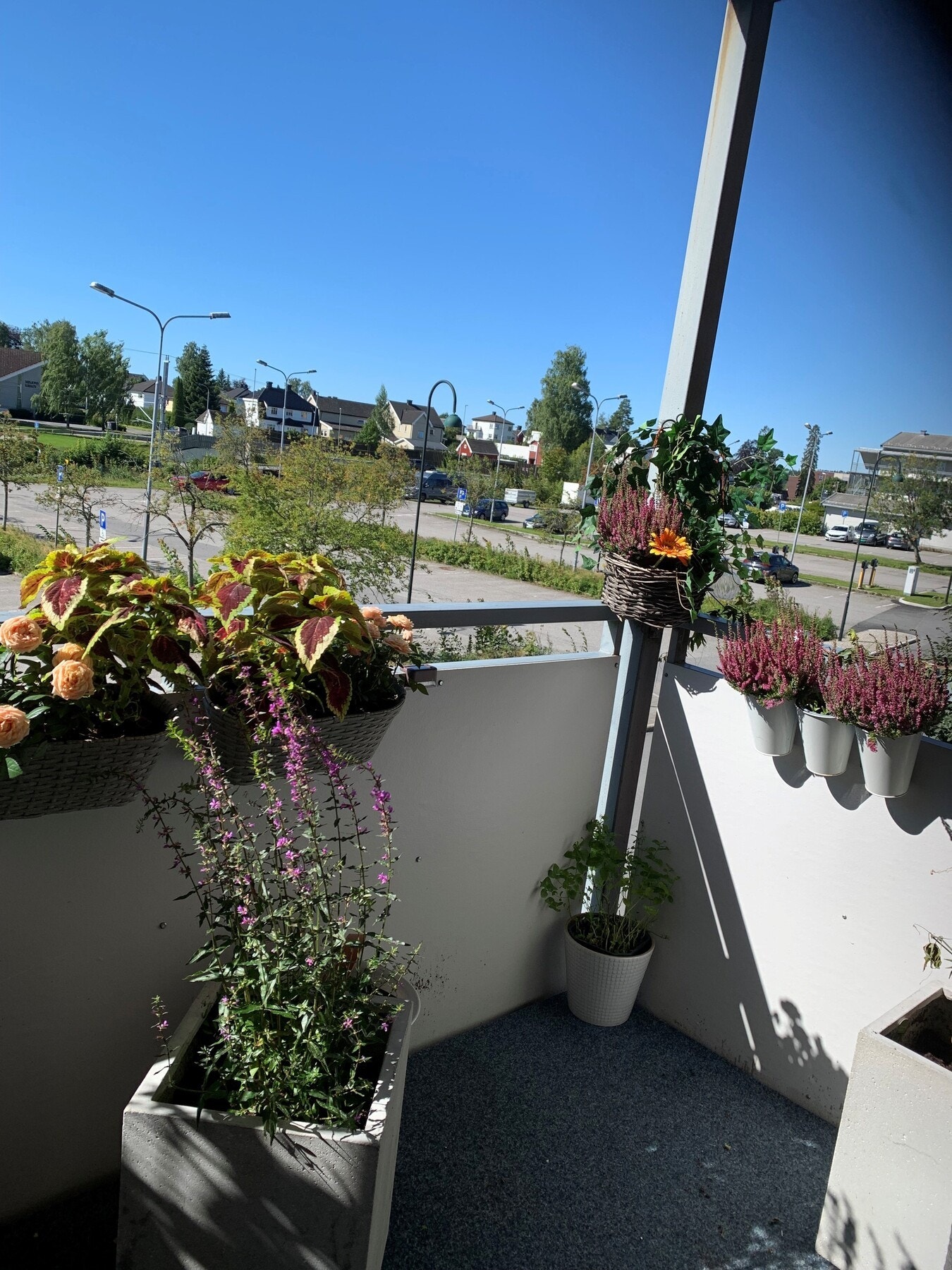 Selgers eget bilde fra balkong. Galleribilde