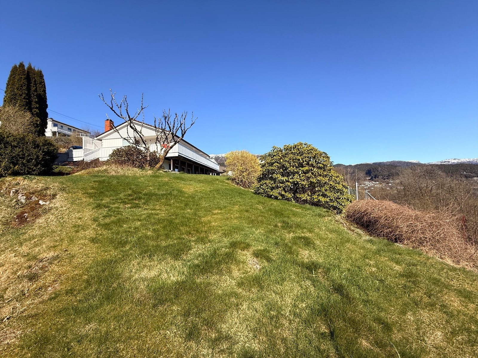 Hage Galleribilde