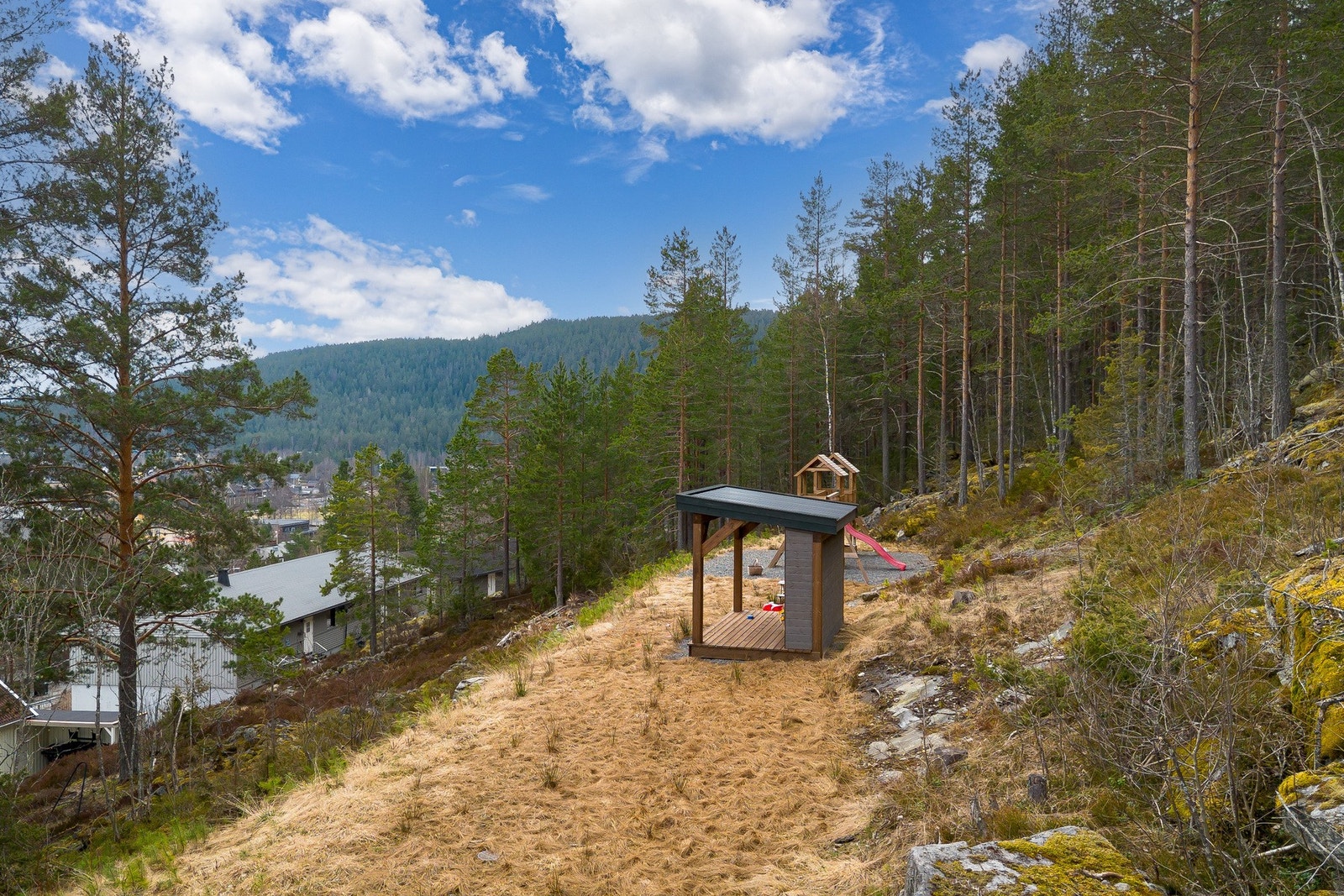 Nærområde. Galleribilde