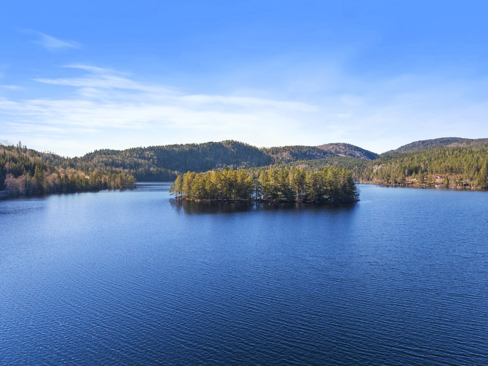 Nærområde. Galleribilde