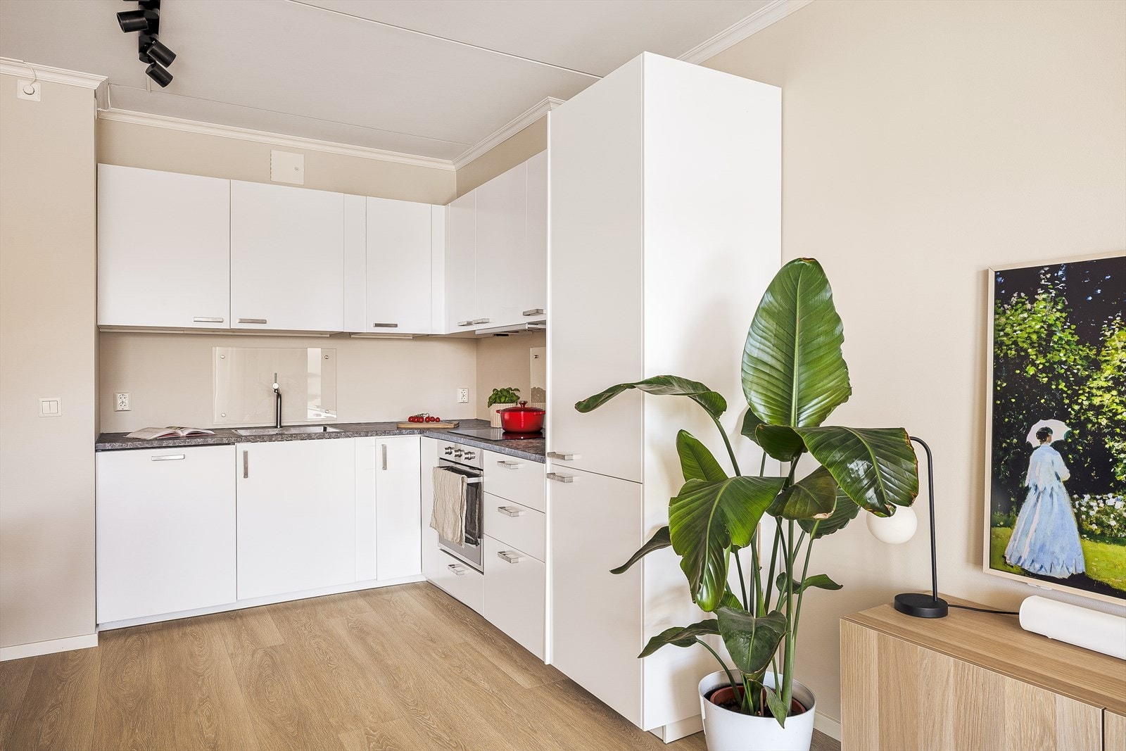 Flotte kvaliteter med glassplate over vask og komfyr, samt mekanisk avtrekk i slimline. Galleribilde