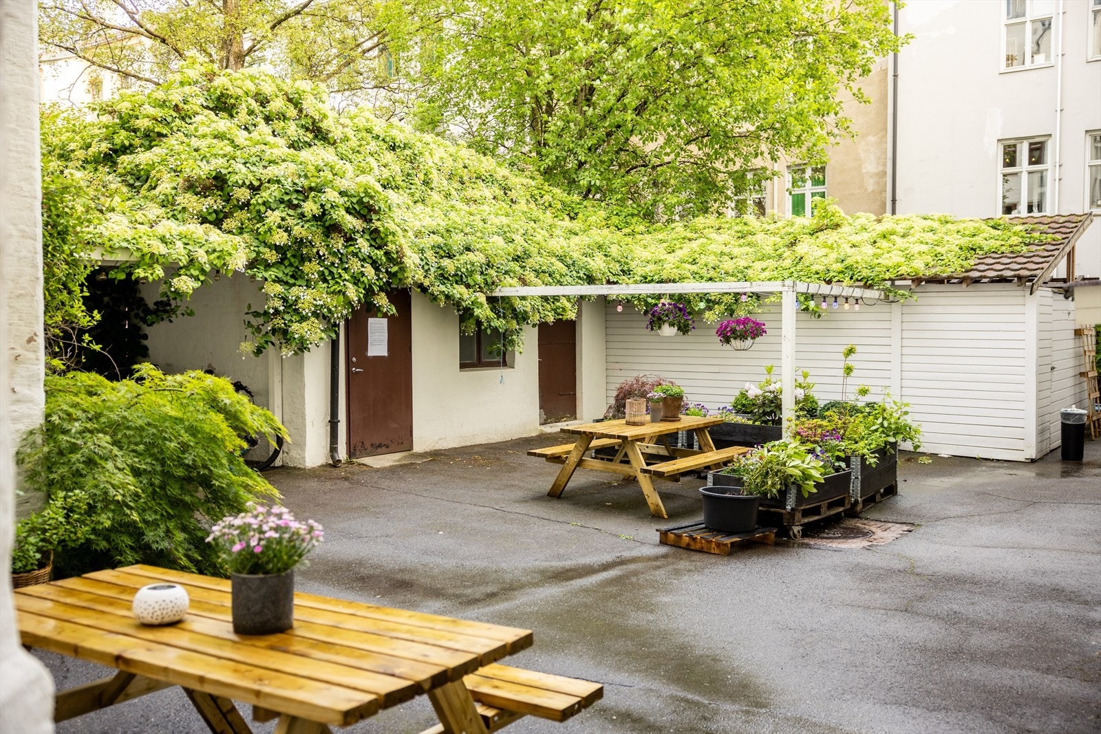 Hyggelig bakgård! Galleribilde